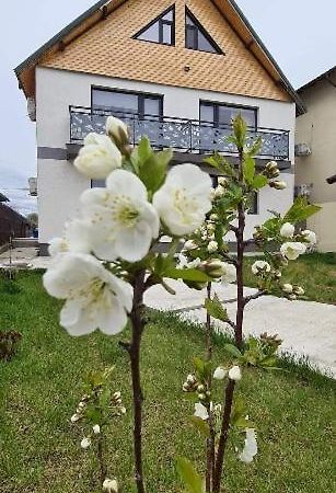 Casuta Noastra - Sulina Hotel Buitenkant foto